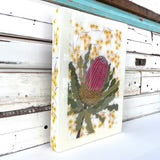 Lost & Found Art Co - Banksia Menziesii