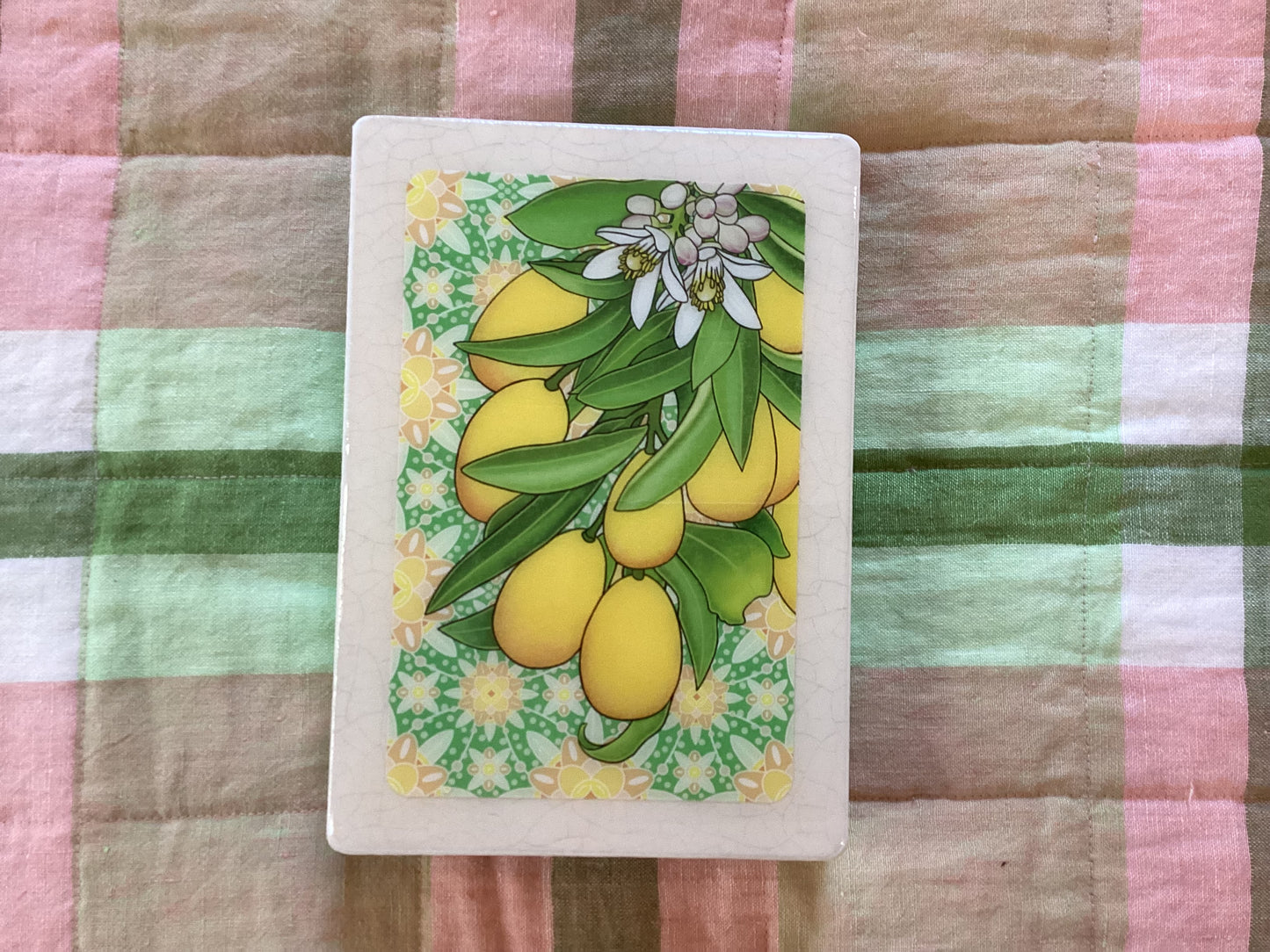 Lost & Found Art Co - Meg’s Cumquat