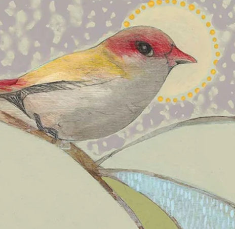 Dana Kinter limited edition print - “red backed finch and blue gum (i)”