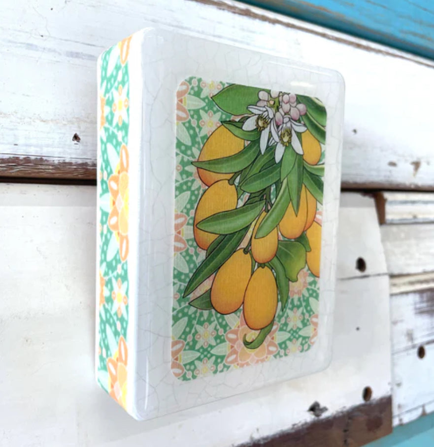 Lost & Found Art Co - Meg’s Cumquat