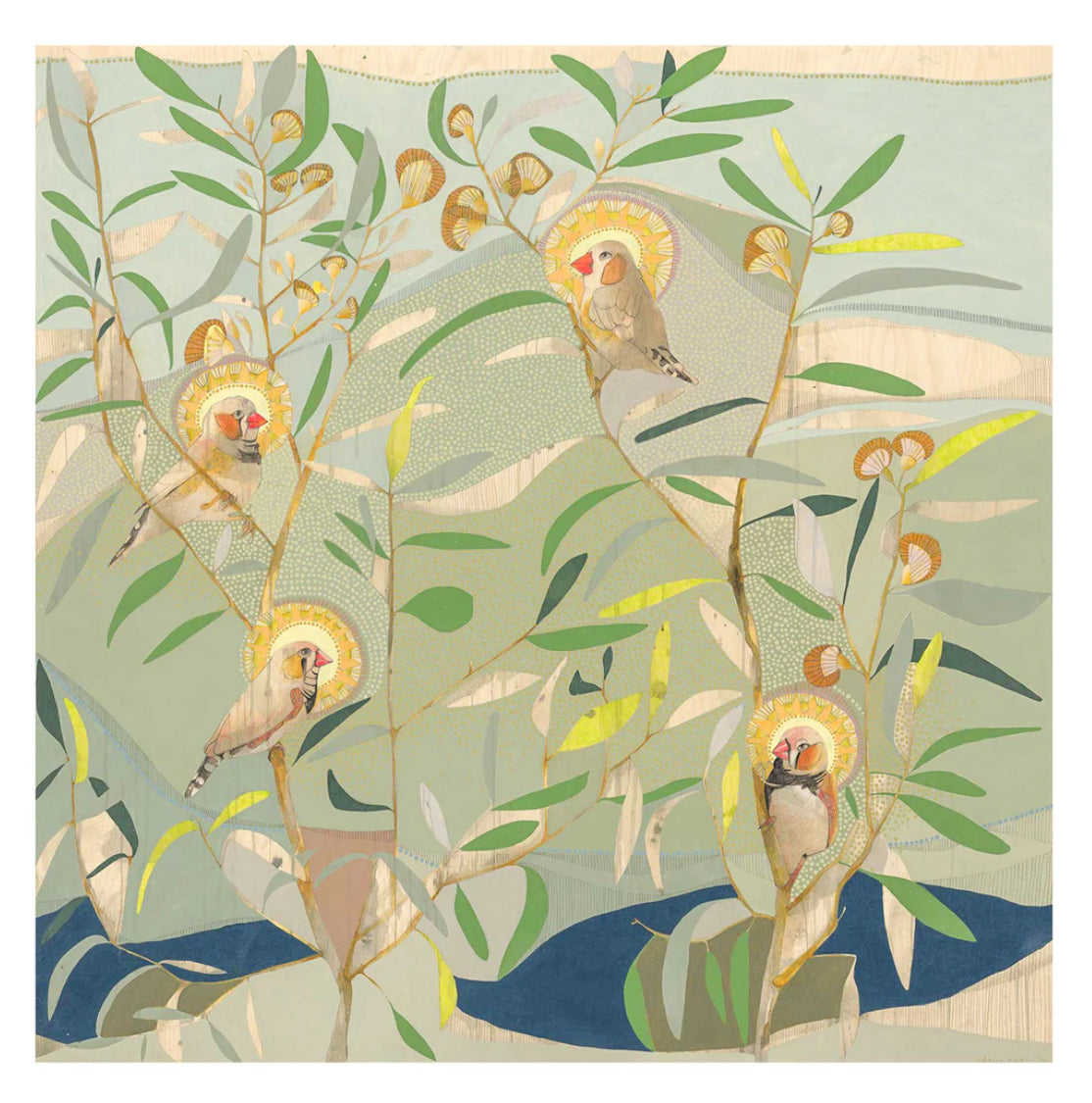 Dana Kinter limited edition print - “the small things, zebra finch and eucalyptus”