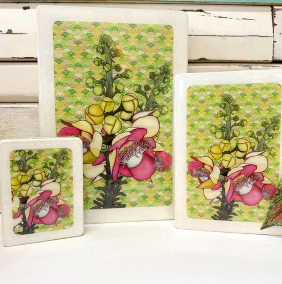 Lost & Found Art Co - Cannonball Tree