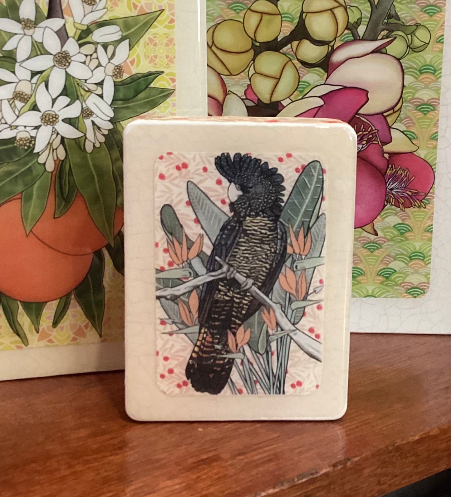 Lost & Found Art Co - Red Tail Black Cockatoo (cool white)