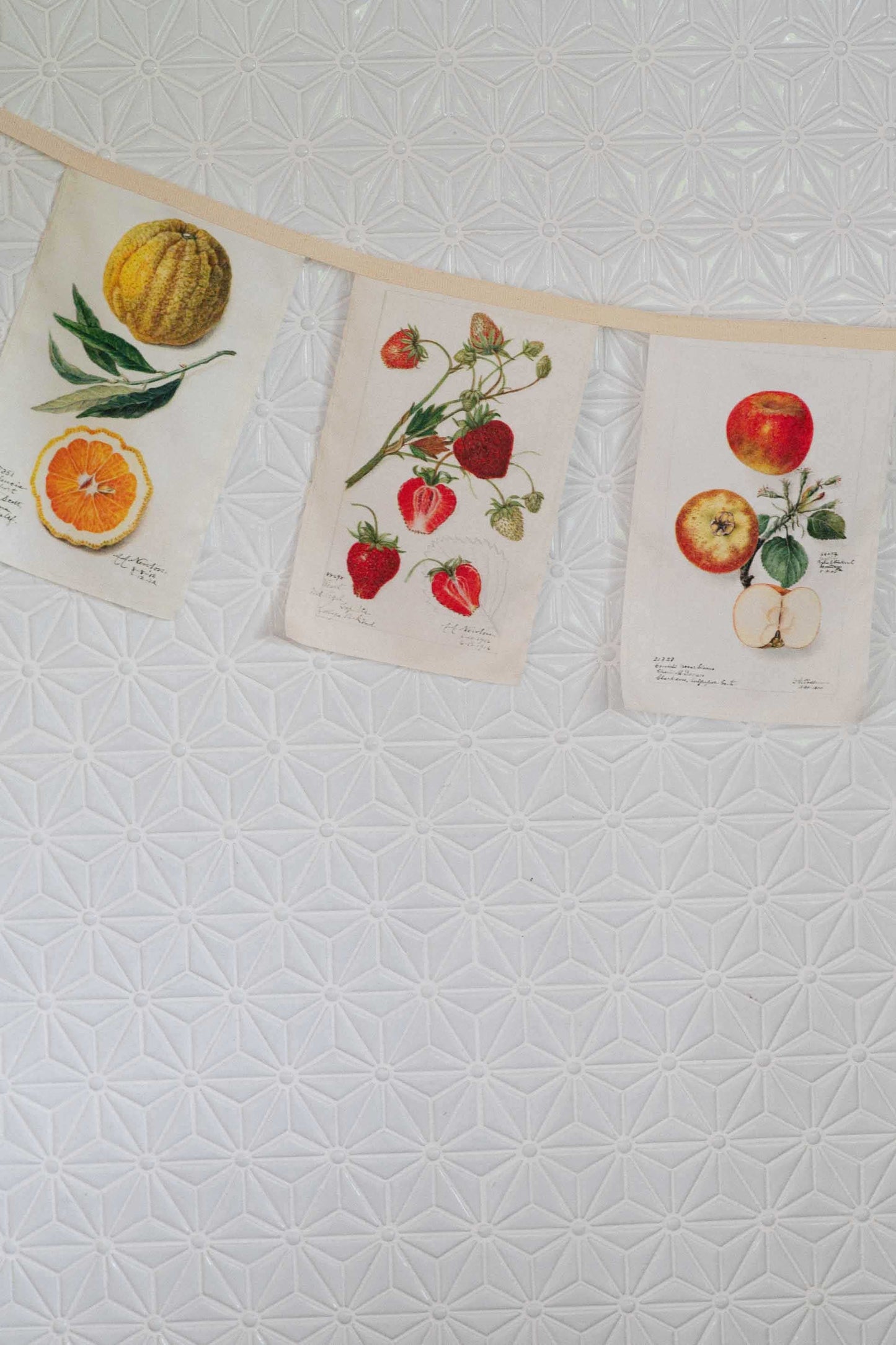 Lazybones Vintage Fruit Garland