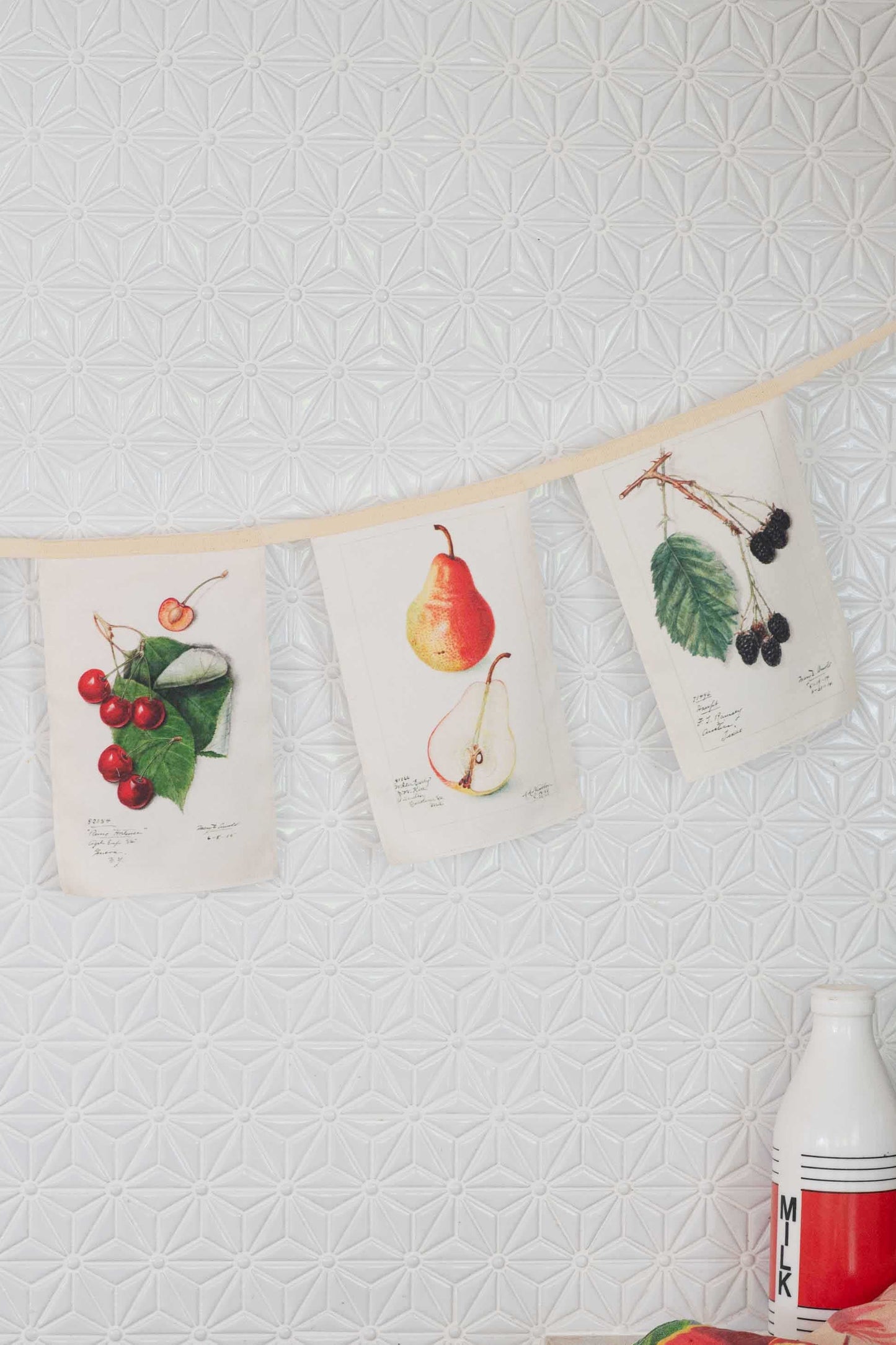 Lazybones Vintage Fruit Garland
