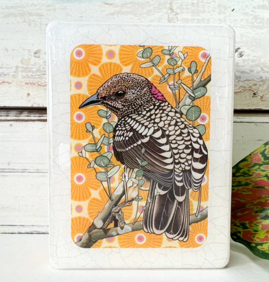 Lost & Found Art Co - Western Bowerbird