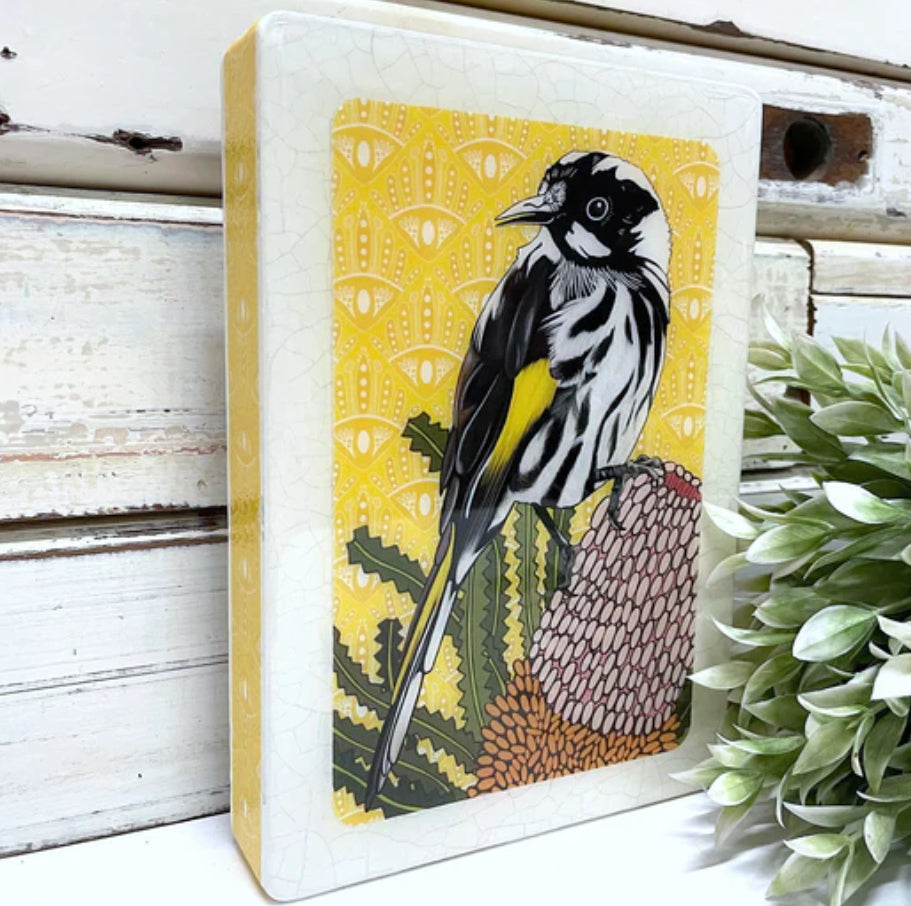 Lost & Found Art Co - Meg’s Honeyeater