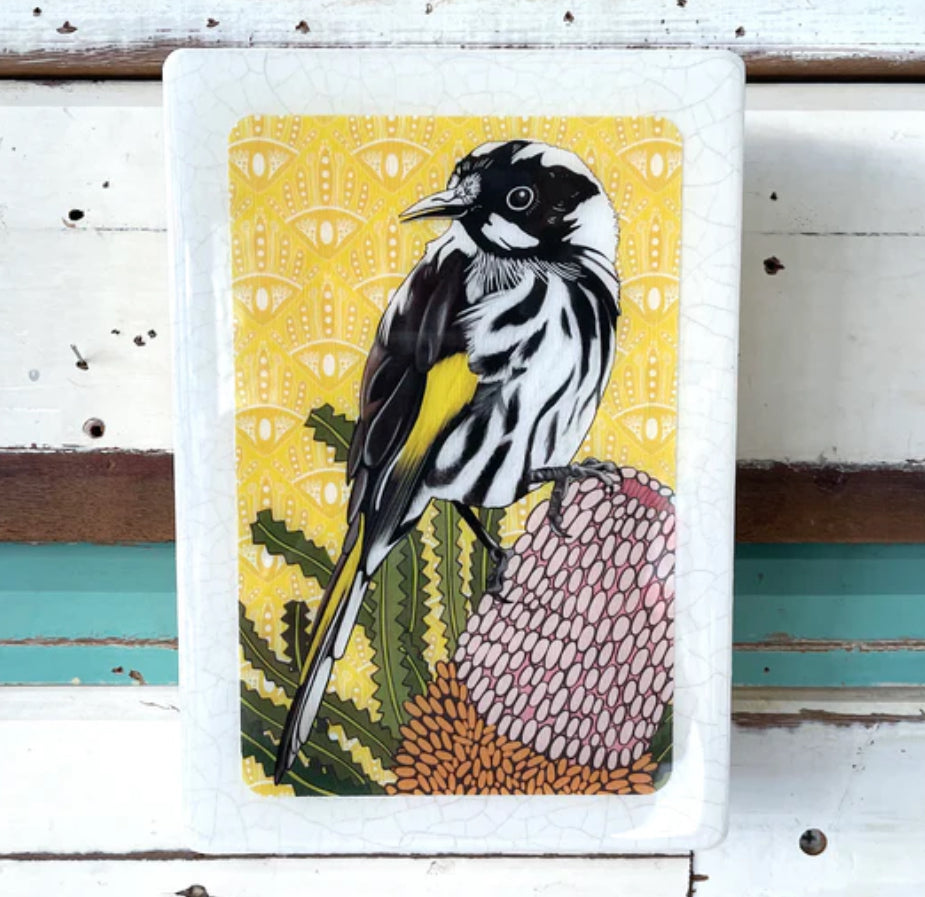 Lost & Found Art Co - Meg’s Honeyeater