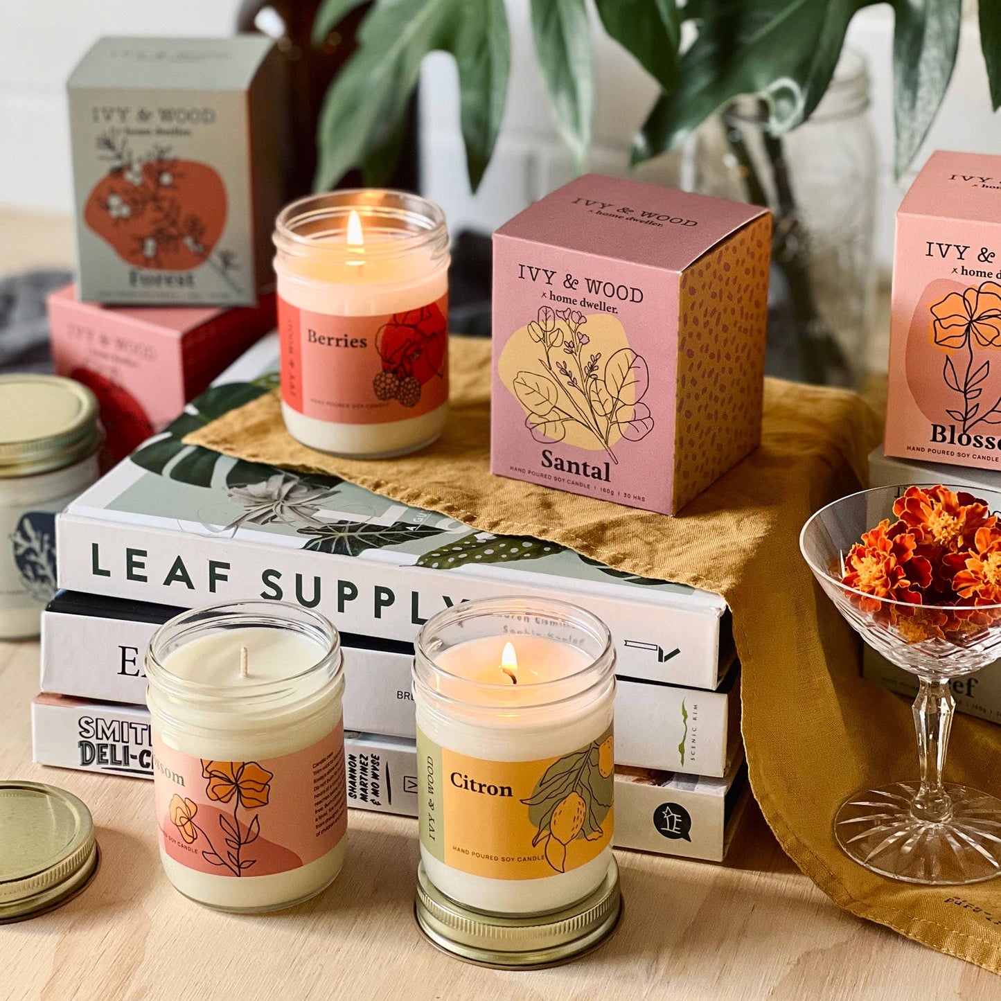 Ivy and Wood Homebody Candle - Blossom