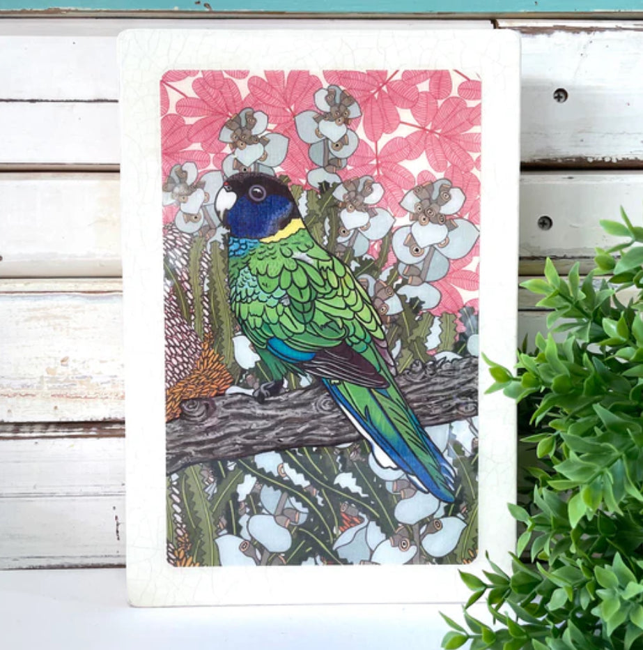 Lost & Found Art Co - Twenty Eight Parrot