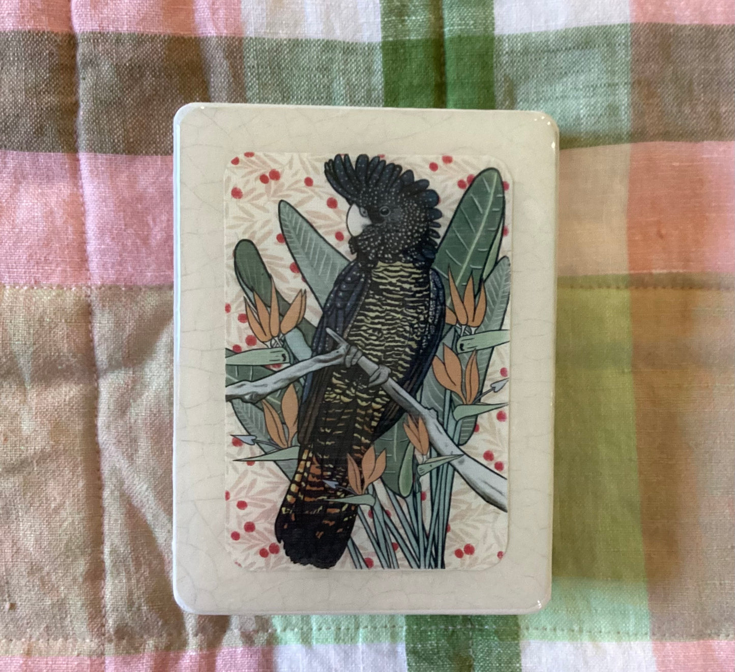 Lost & Found Art Co - Red Tail Black Cockatoo (cool white)