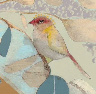 Dana Kinter limited edition print - “red backed finch and blue gum (ii)”