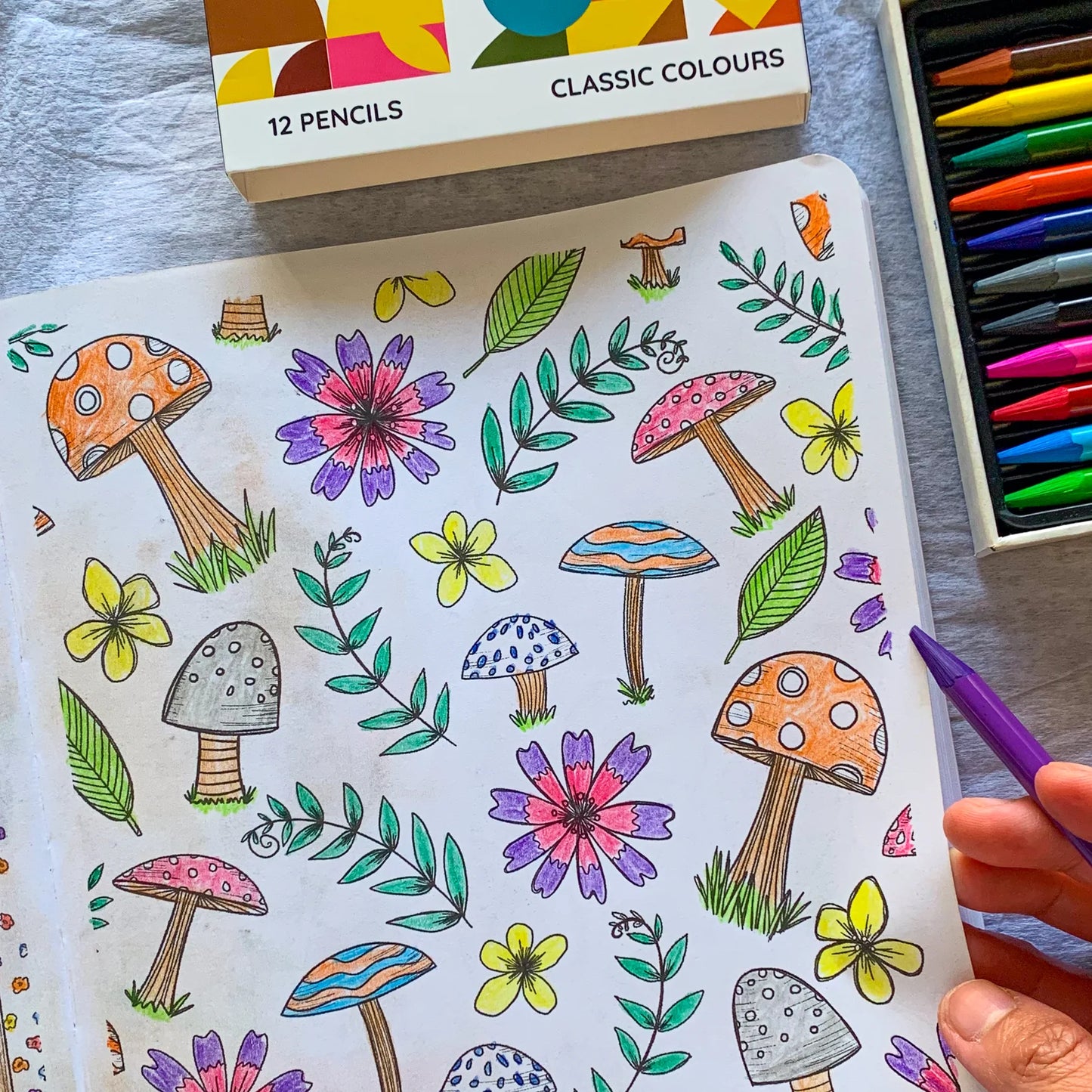 Life of Colour - Woodless Colour Pencils (classic colours) Set of 12