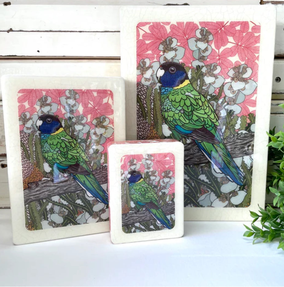 Lost & Found Art Co - Twenty Eight Parrot