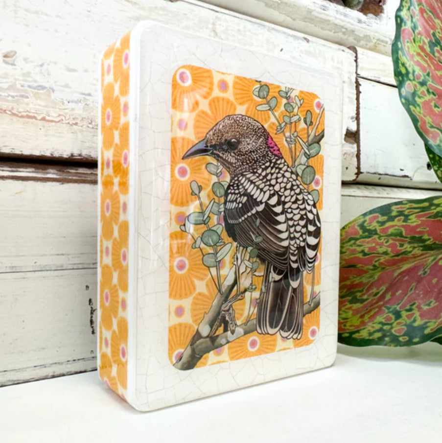 Lost & Found Art Co - Western Bowerbird