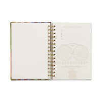 Perpetual Planner - Bold Stripe