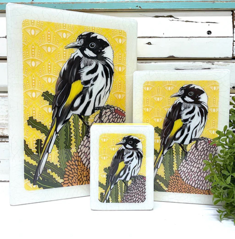 Lost & Found Art Co - Meg’s Honeyeater