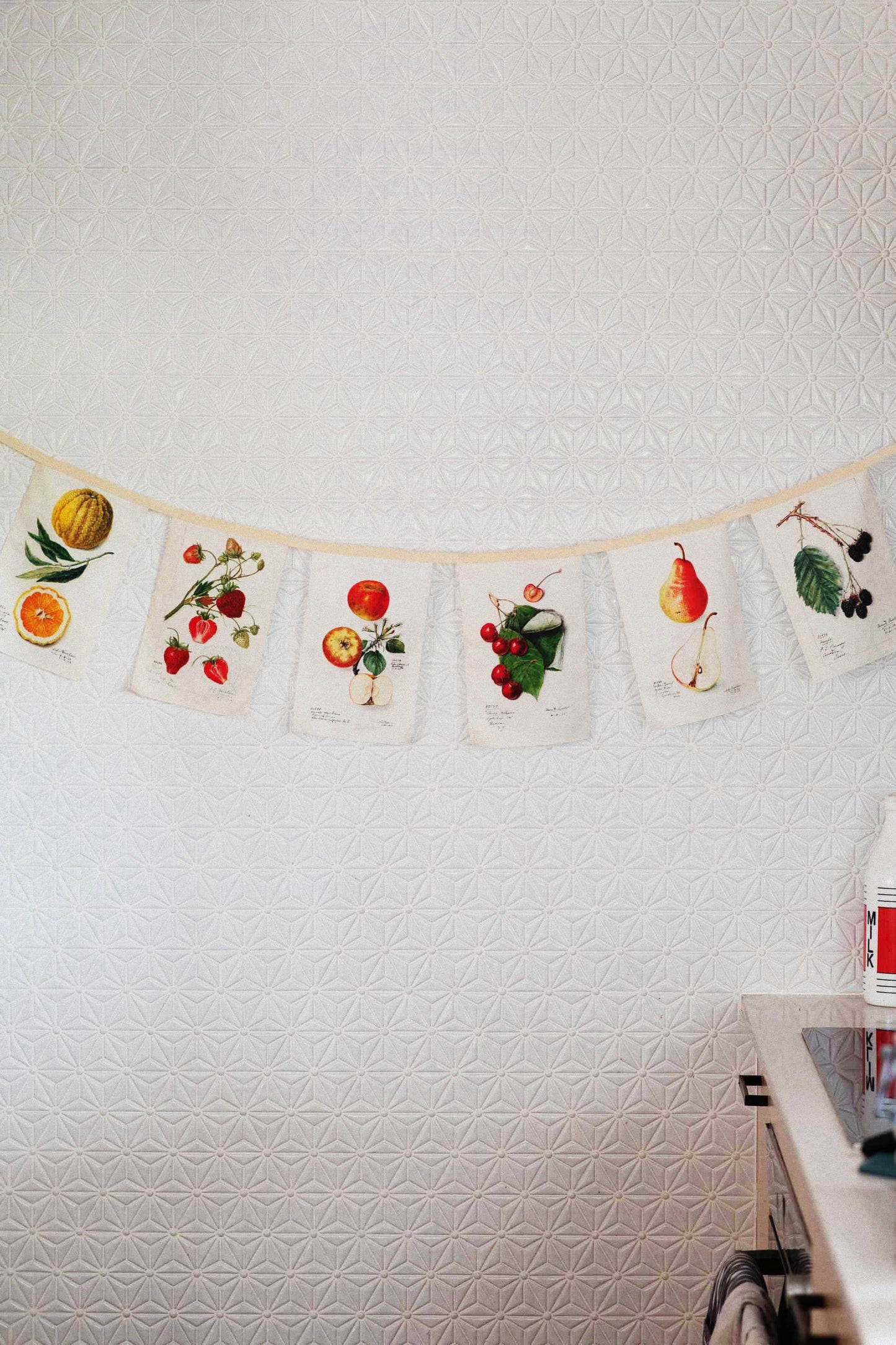 Lazybones Vintage Fruit Garland
