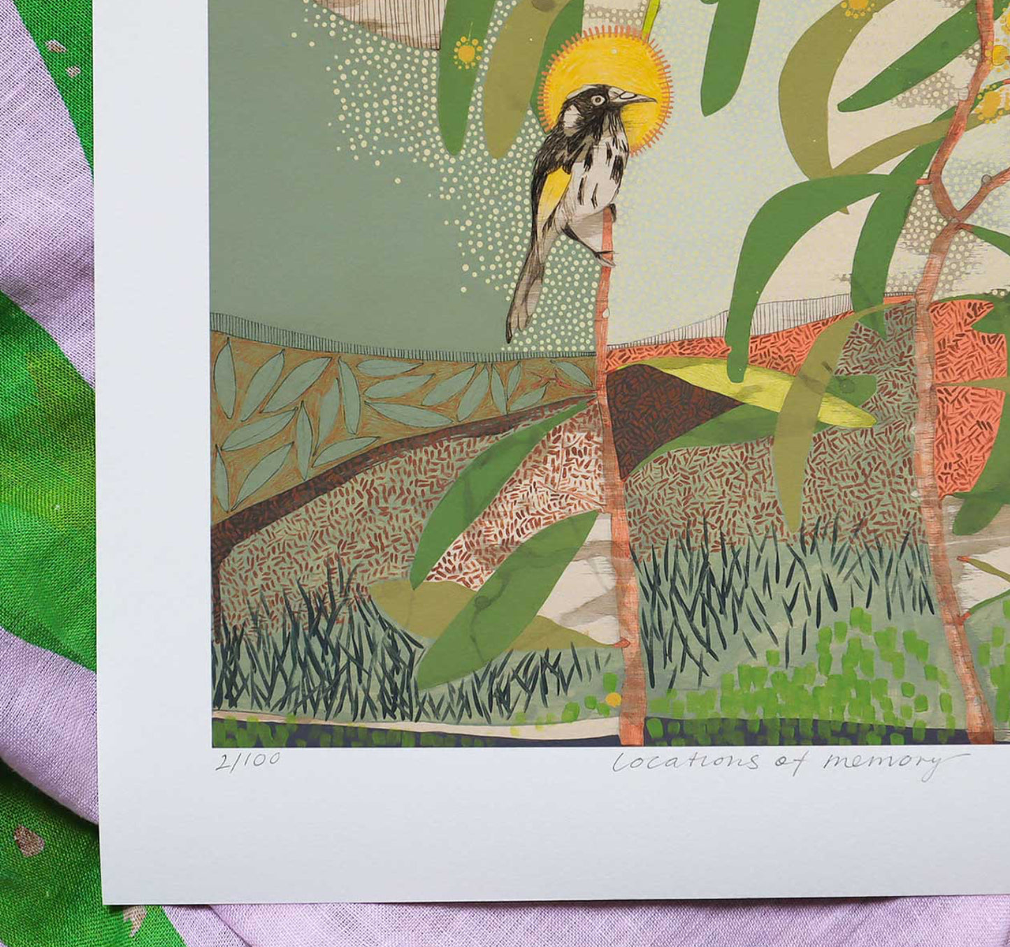 Dana Kinter limited edition print - “locations of memory, new holland honeyeater and wattle”