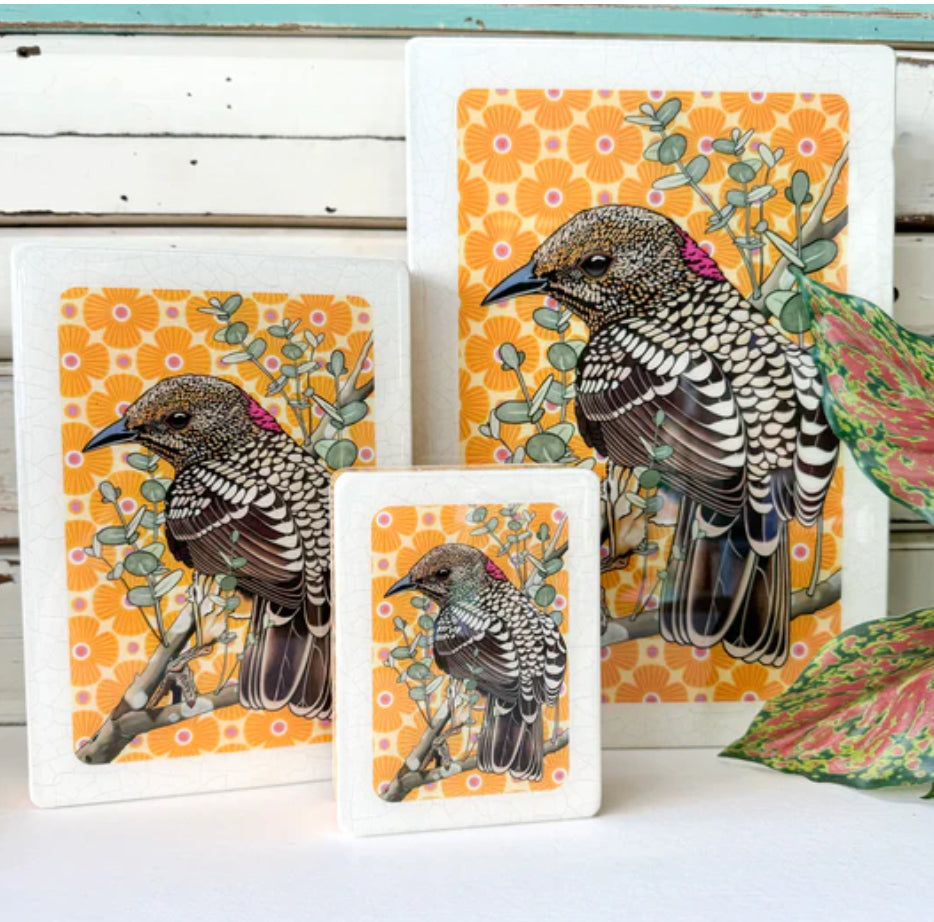 Lost & Found Art Co - Western Bowerbird