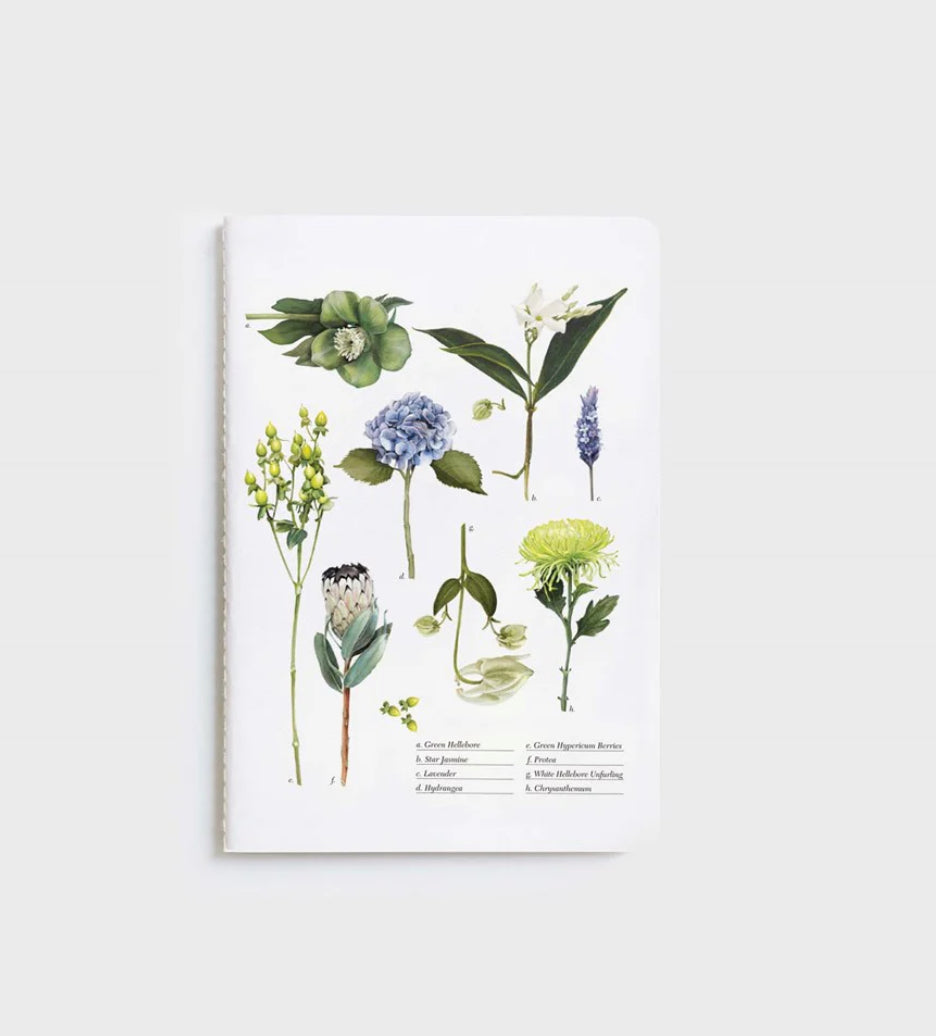 Father Rabbit Notebooks - various designs