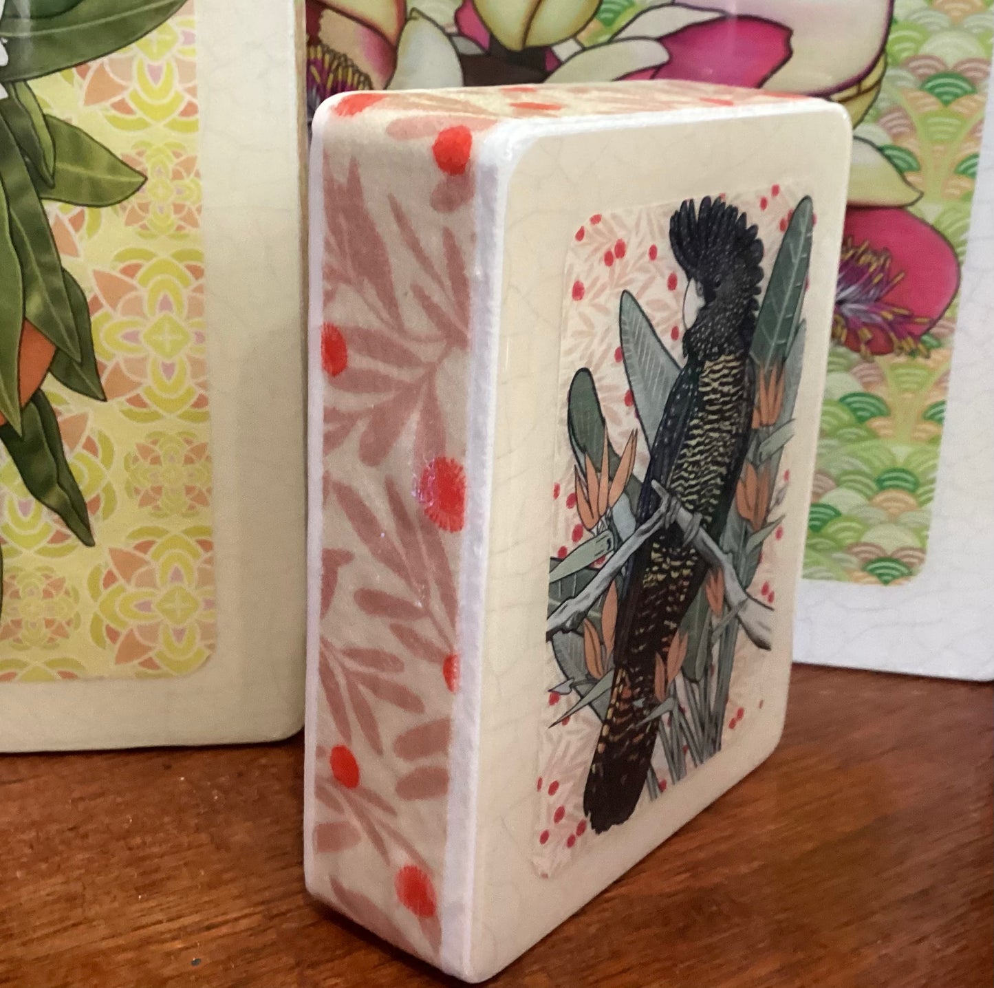 Lost & Found Art Co - Red Tail Black Cockatoo (cool white)