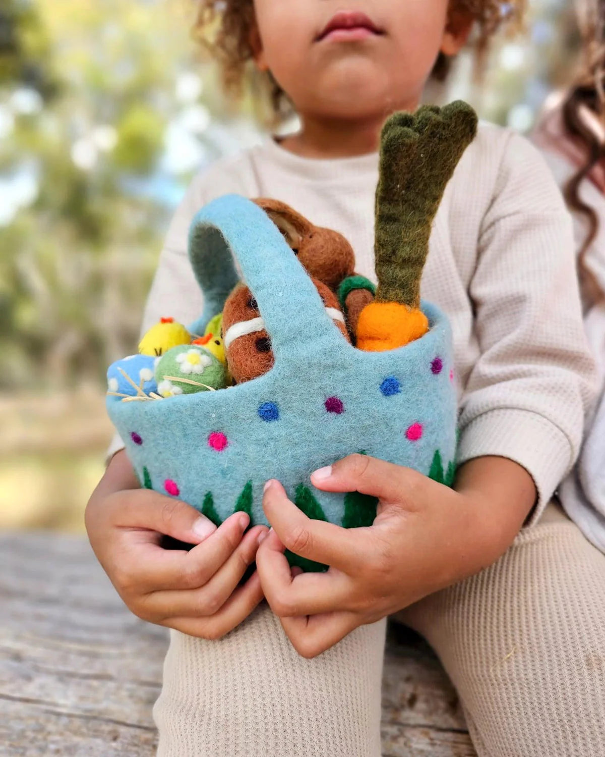 Tara Treasures Felt Baskets