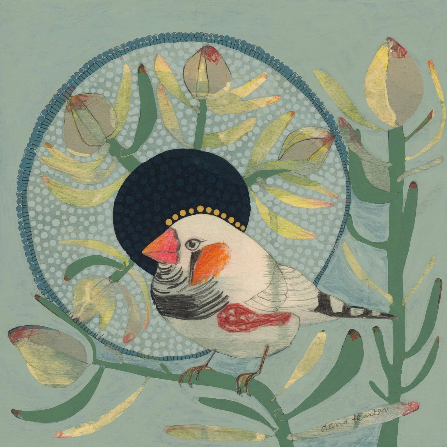 Dana Kinter -Zebra Finch and Leucadendron - mini print