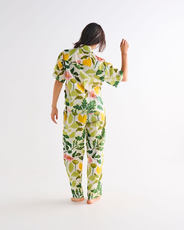 Kip and Co Adult Organic Short Sleeve and Pant Pyjama Set - Wander