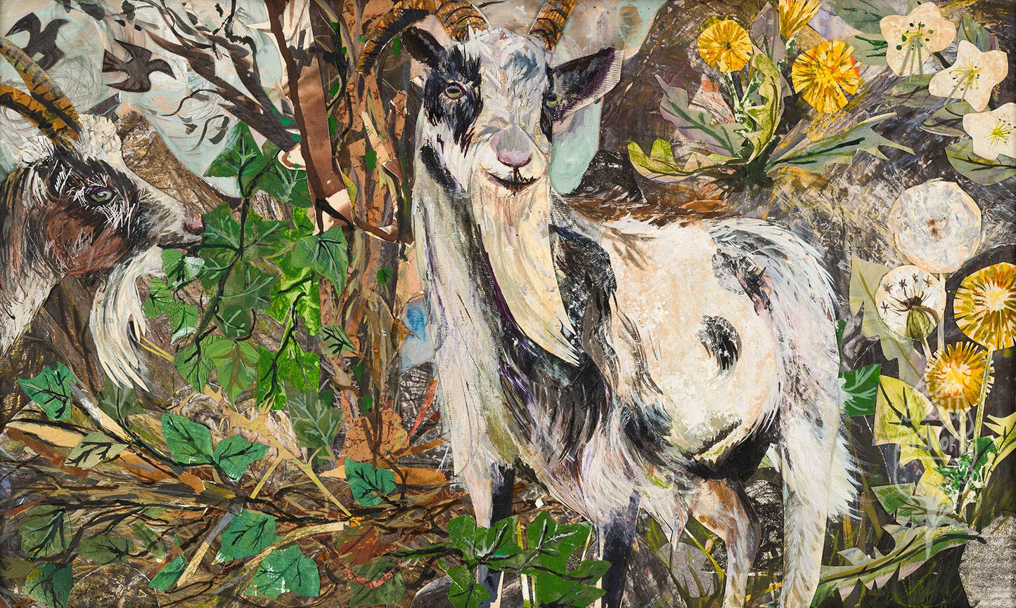 A6 Cheddar Goats postcard