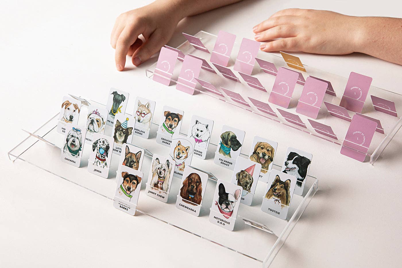 Guess the Doggy Game