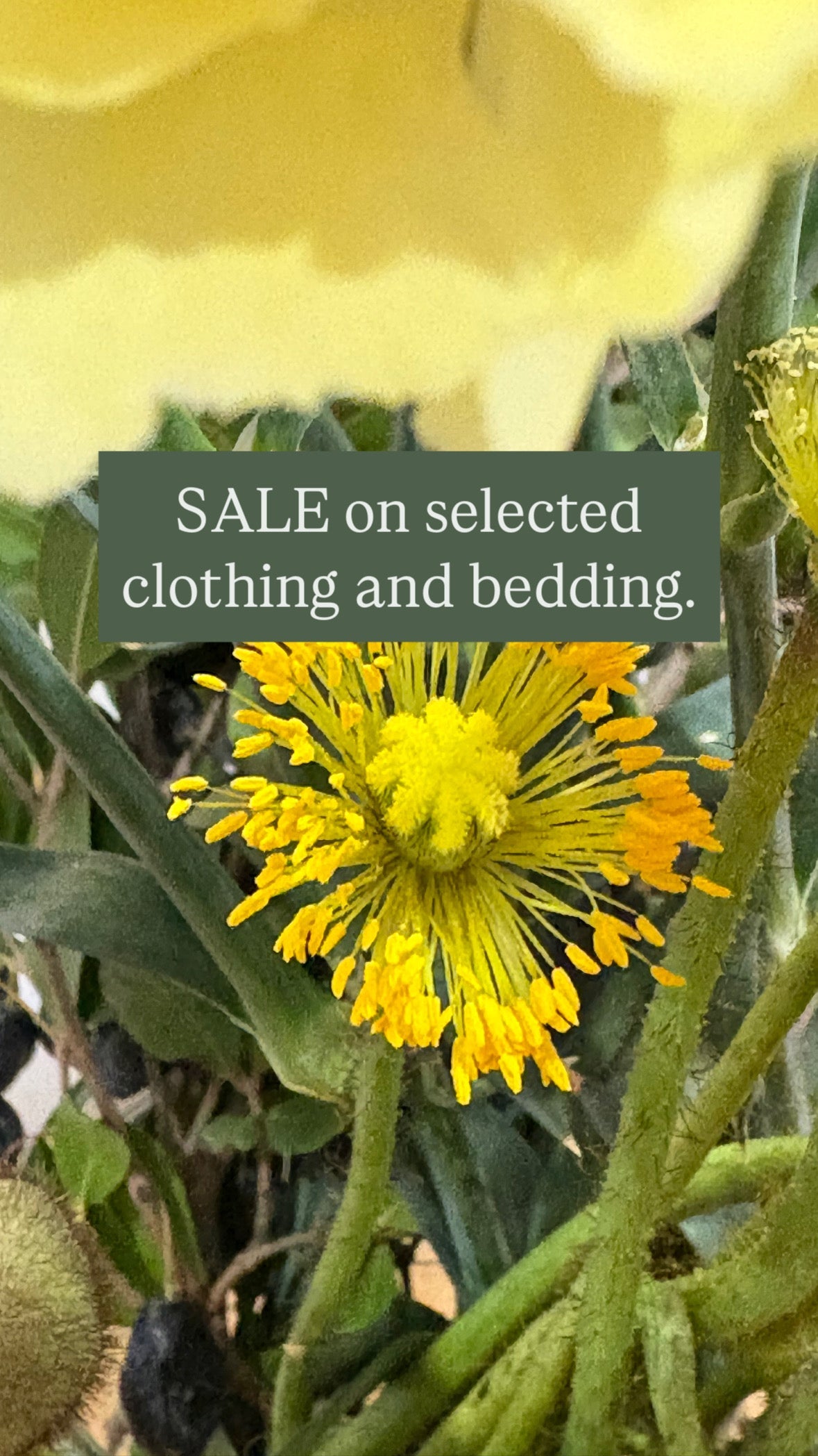 SALE