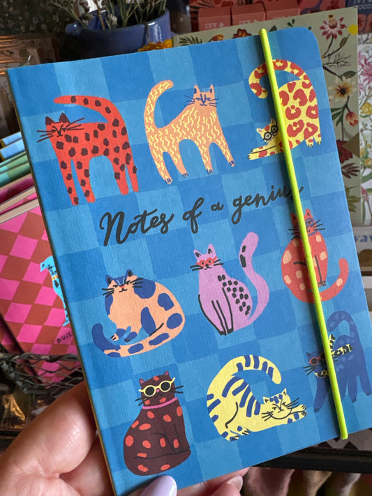 Notebook - Notes of a Genius