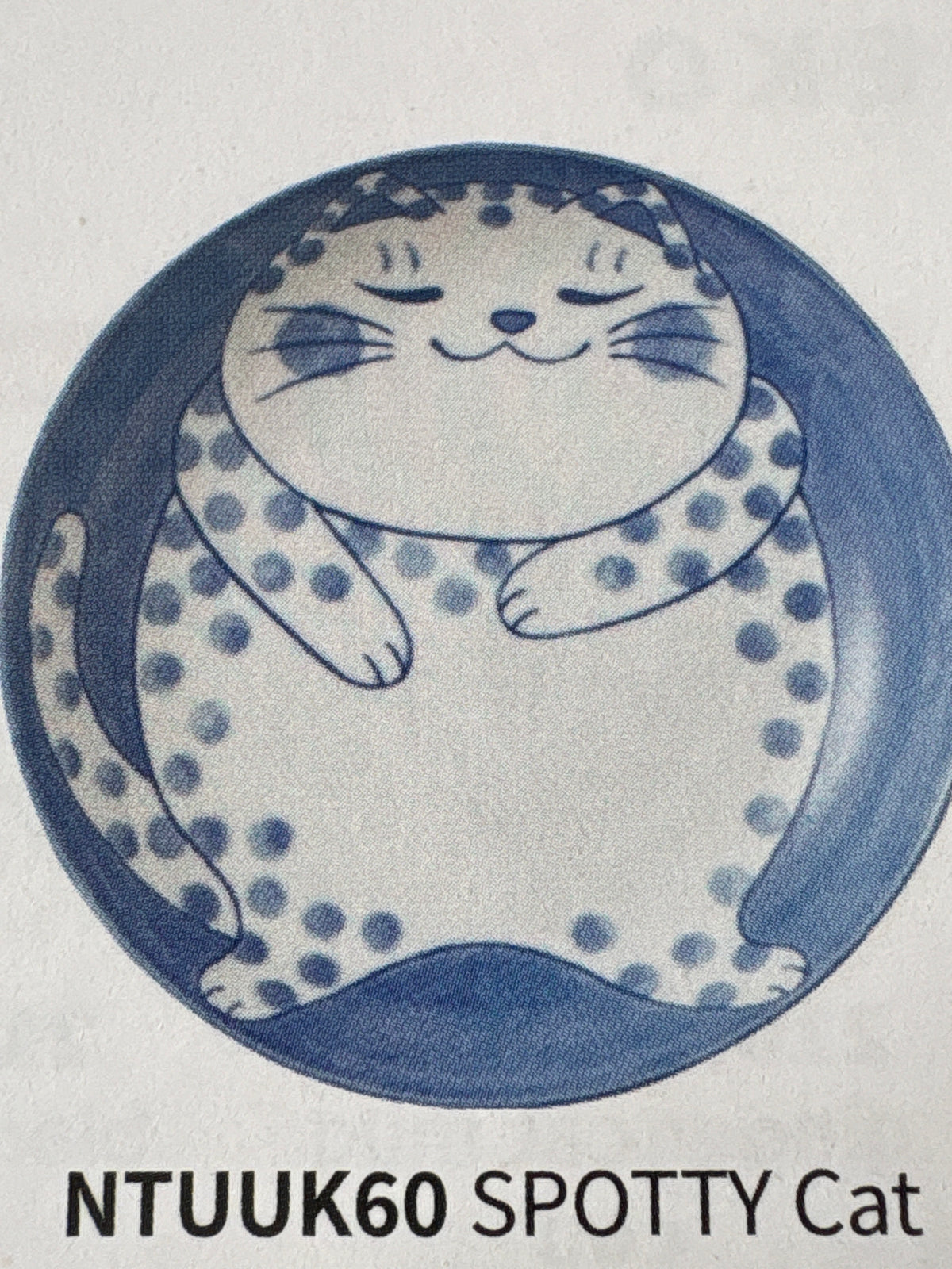 Concept Japan Blue SPOTTY Cat Ceramics