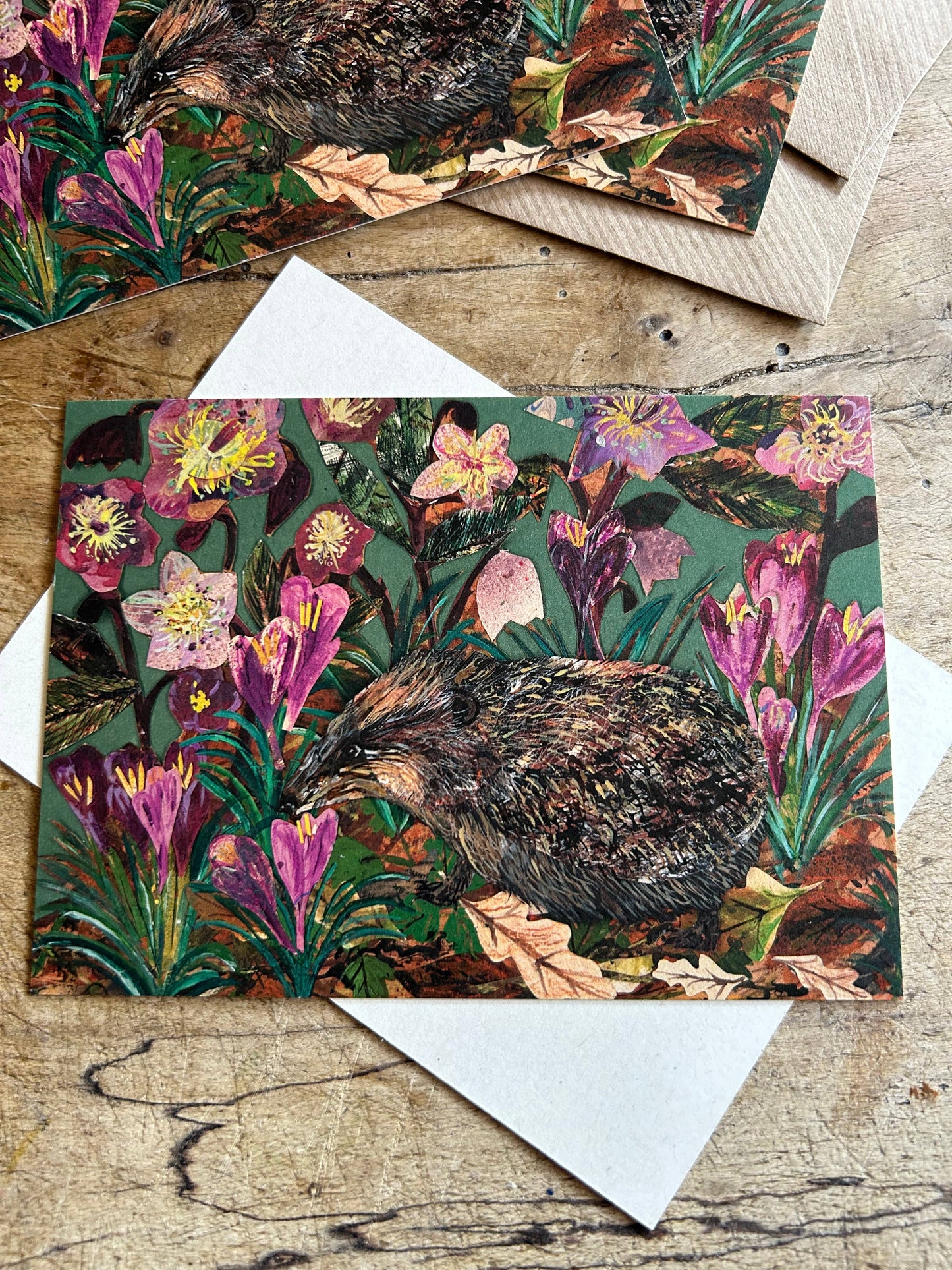 A6 Hedgehog in the Hellebores postcard
