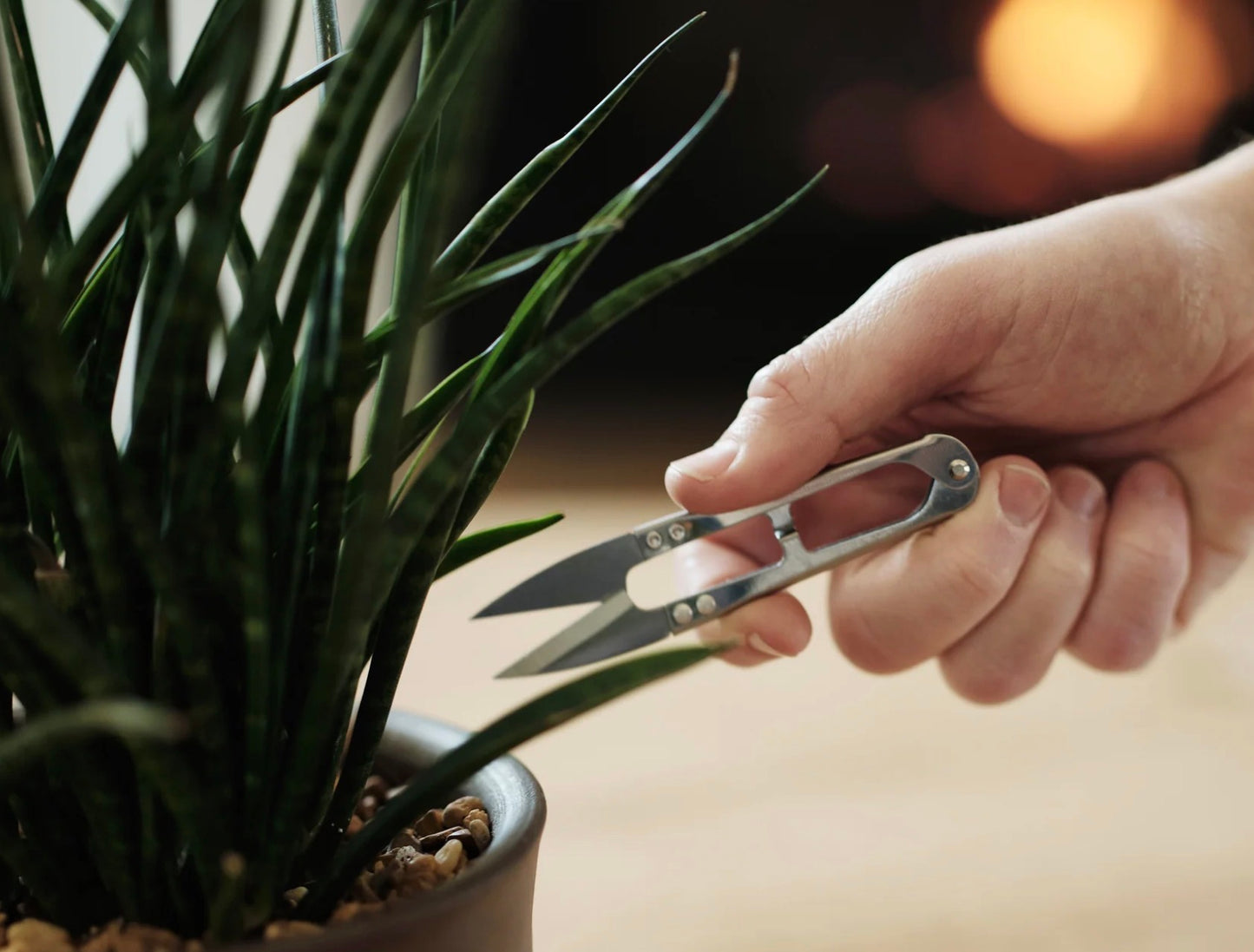Gentlemen Hardware Garden Snippers