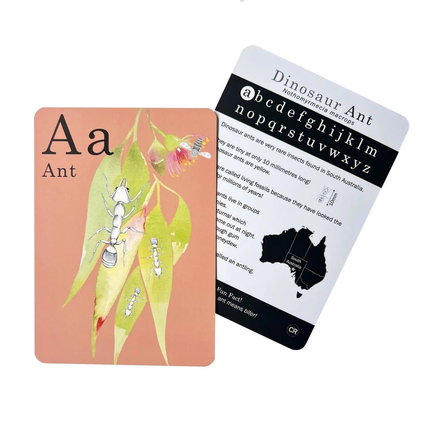 Wonderfully Wild - Australian Animal Alphabet Flashcards