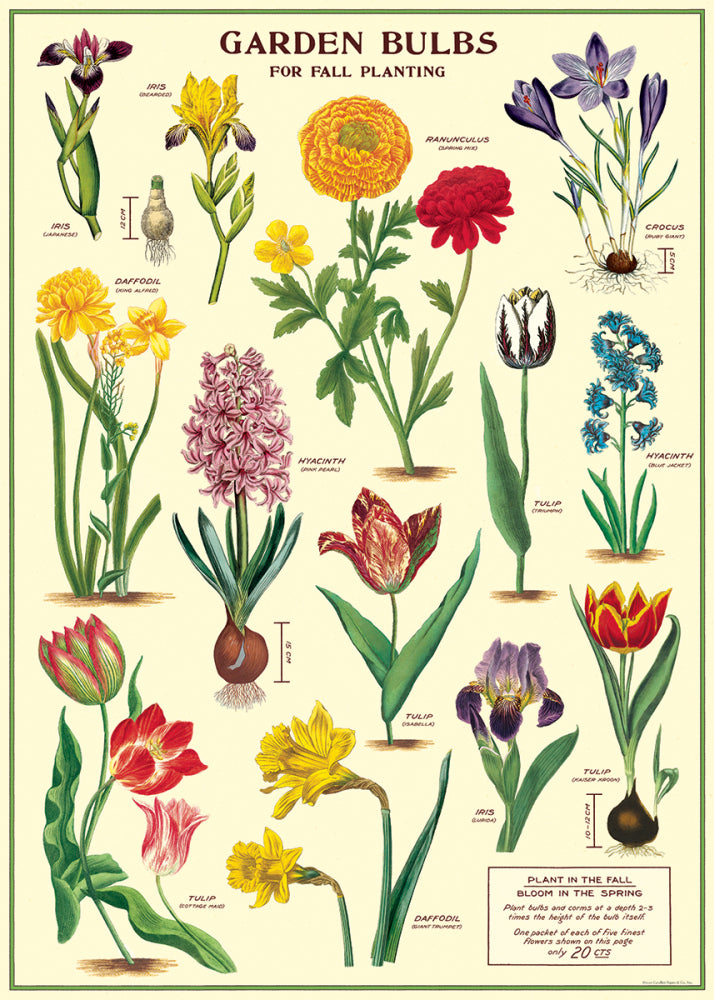 Cavallini Art Posters - various designs