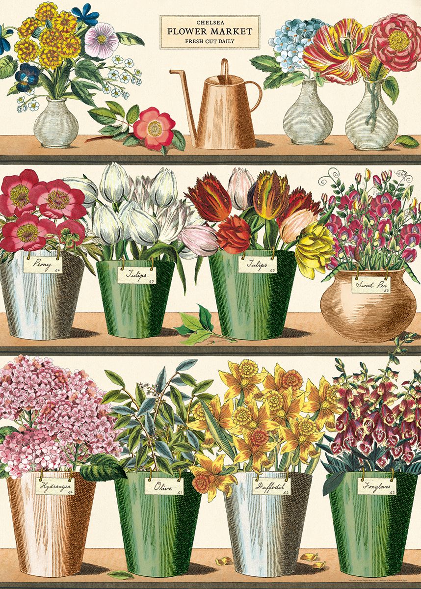 Cavallini Art Posters - various designs
