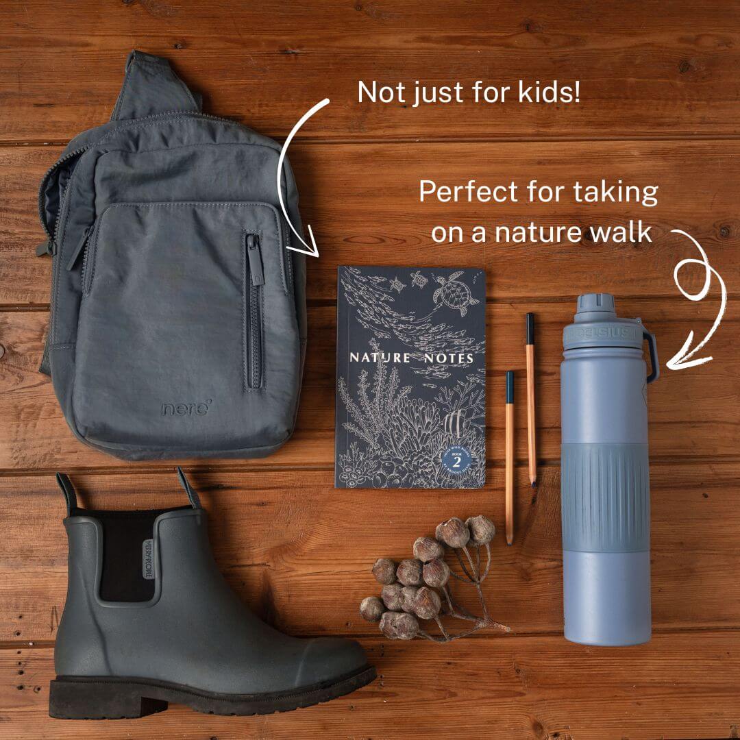Nature Notes 2 - Blue