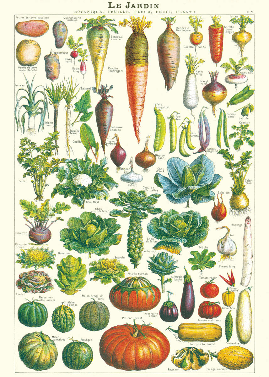 Cavallini Art Posters - various designs