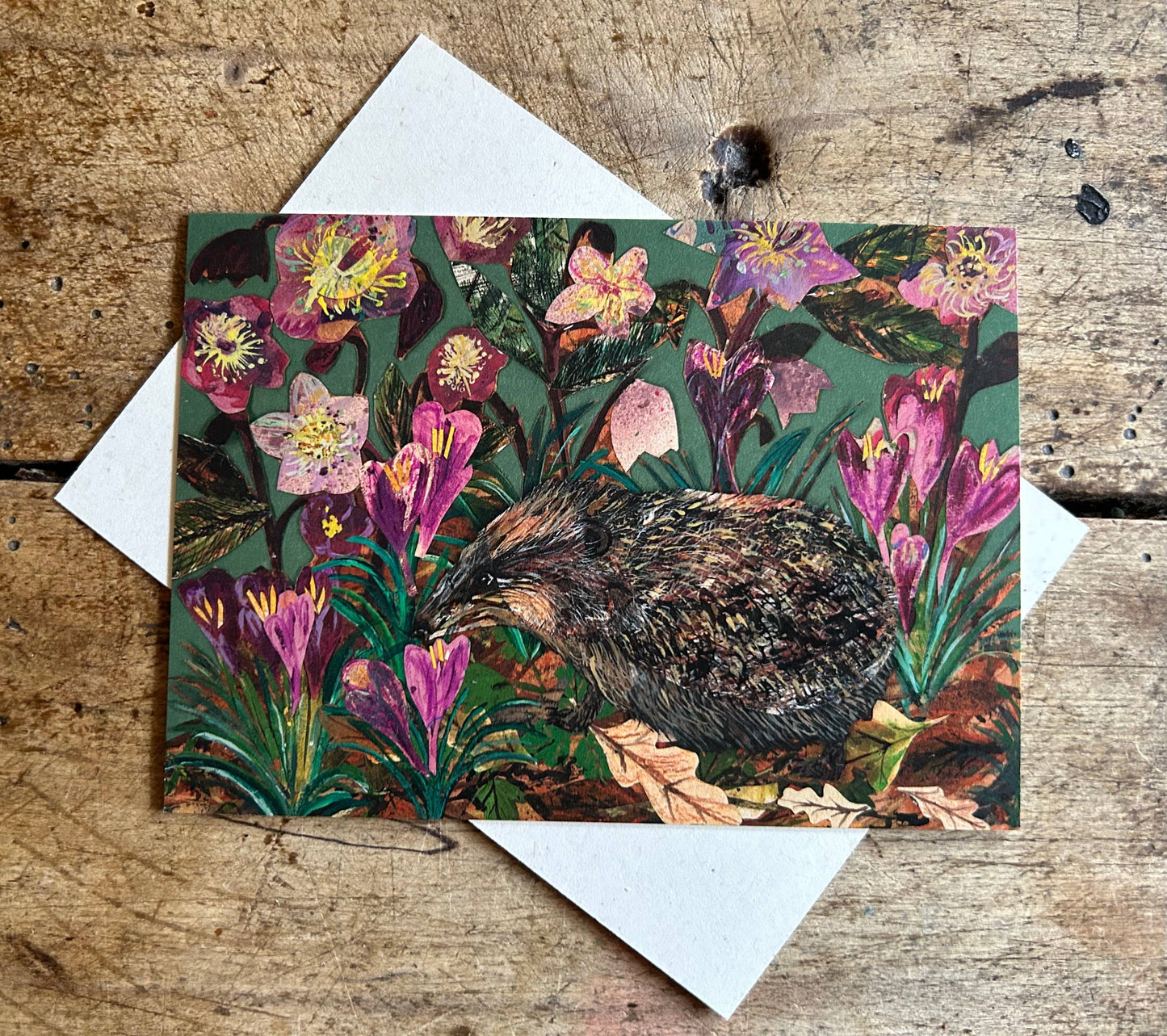 A6 Hedgehog in the Hellebores postcard