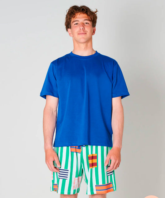 Kip and Co STRIPE ON STRIPE MEN'S ORGANIC COTTON SHORTS & TEE PYJAMA SET