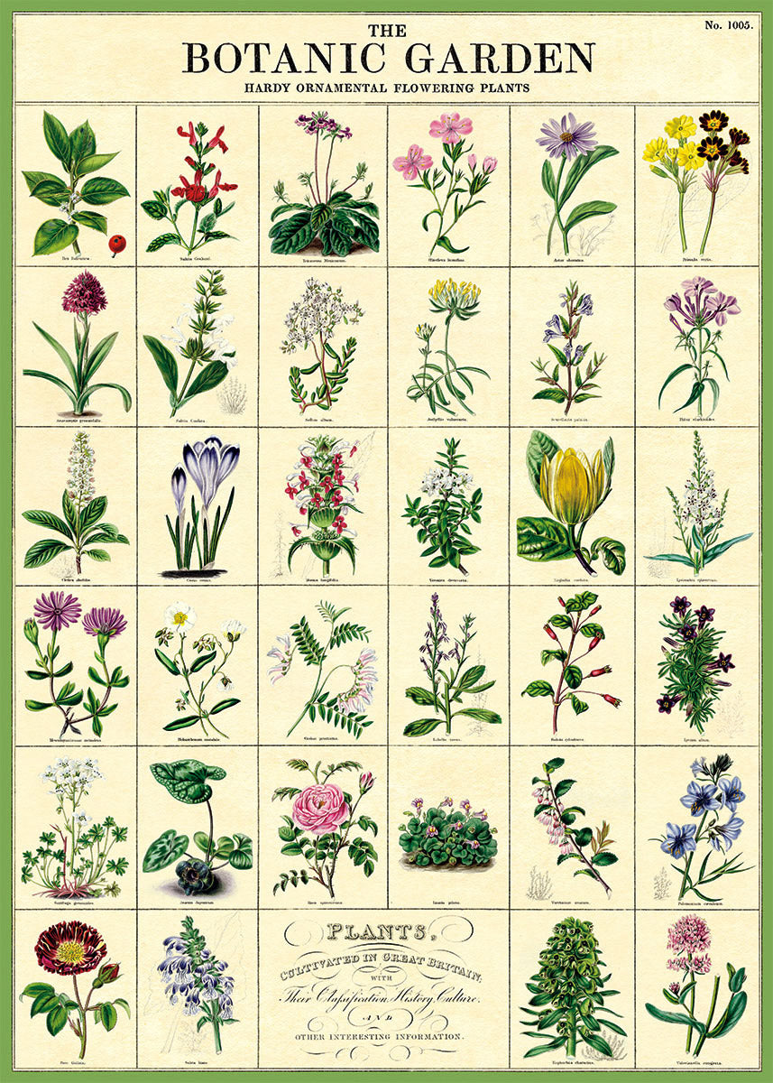 Cavallini Art Posters - various designs