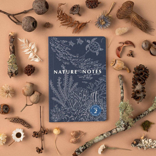 Nature Notes 2 - Blue