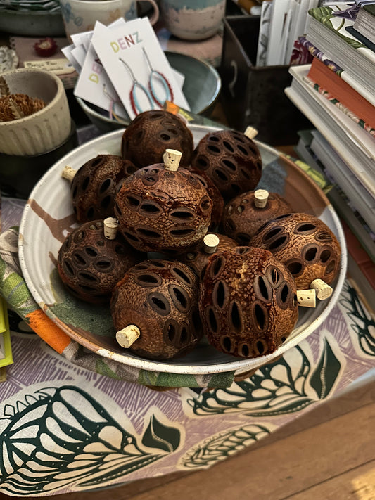Banksia Mini Aroma Pod