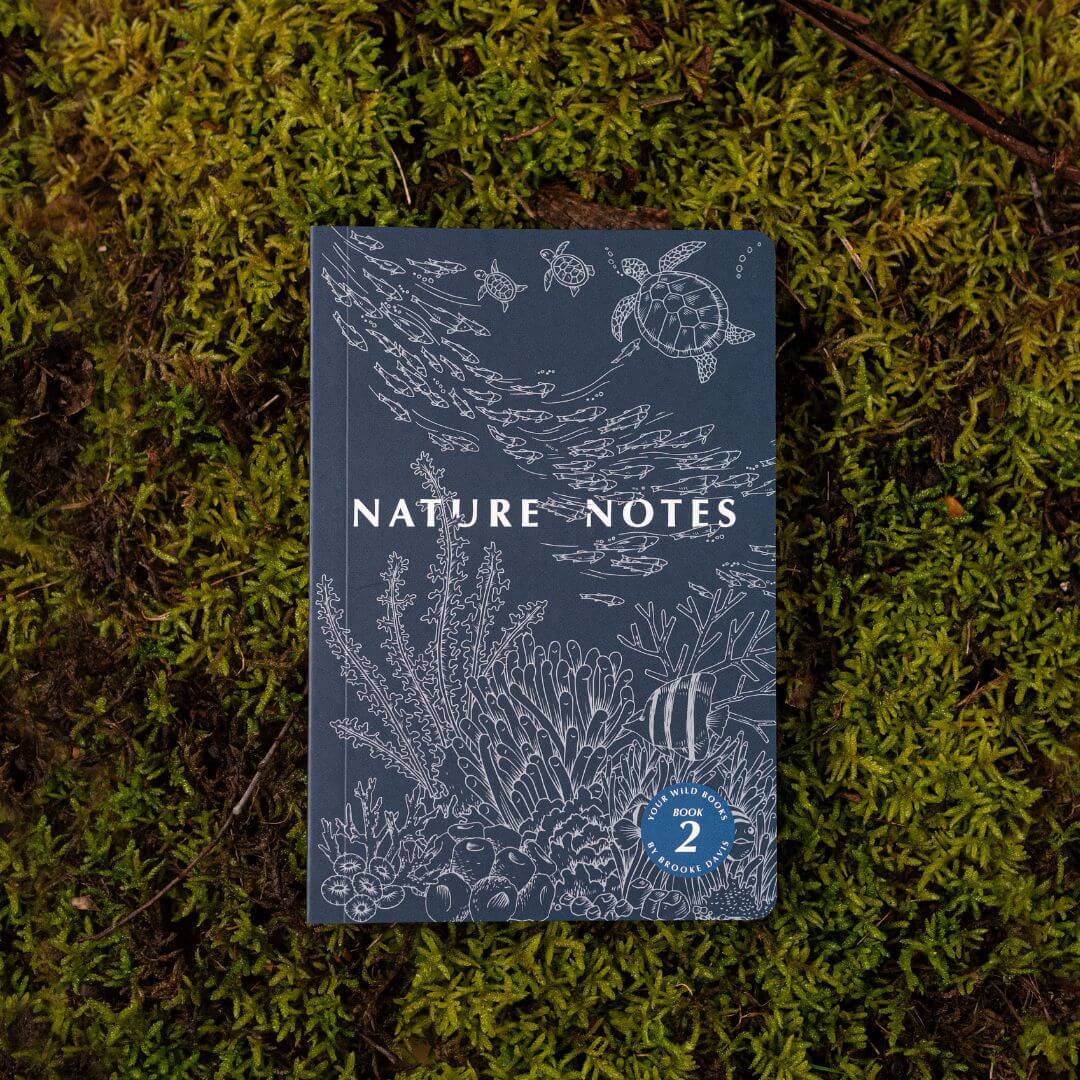 Nature Notes 2 - Blue