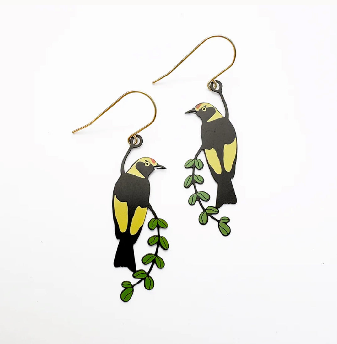 Denz earrings - Midi Regent Bowerbird - Black/Yellow/Green