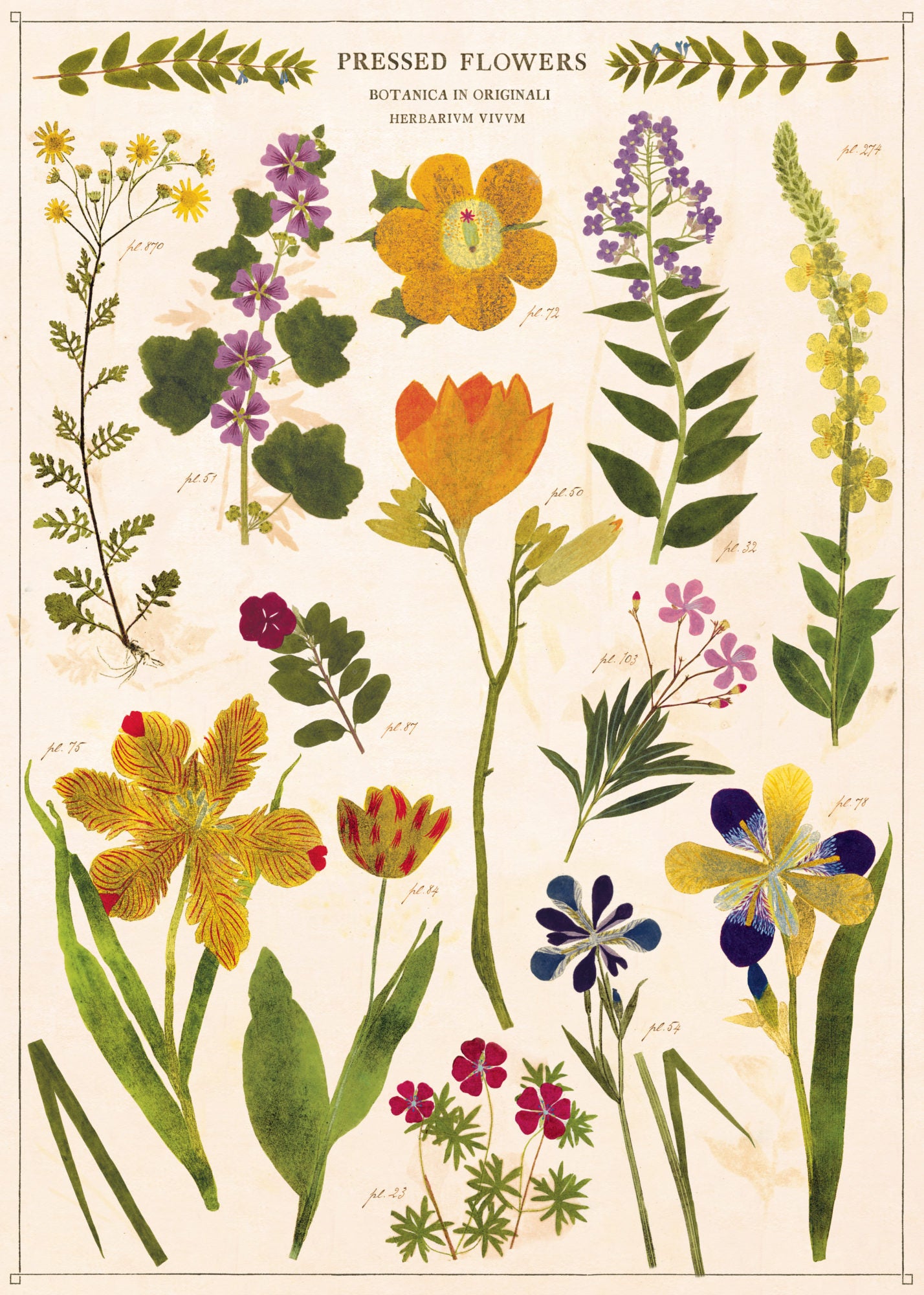 Cavallini Art Posters - various designs