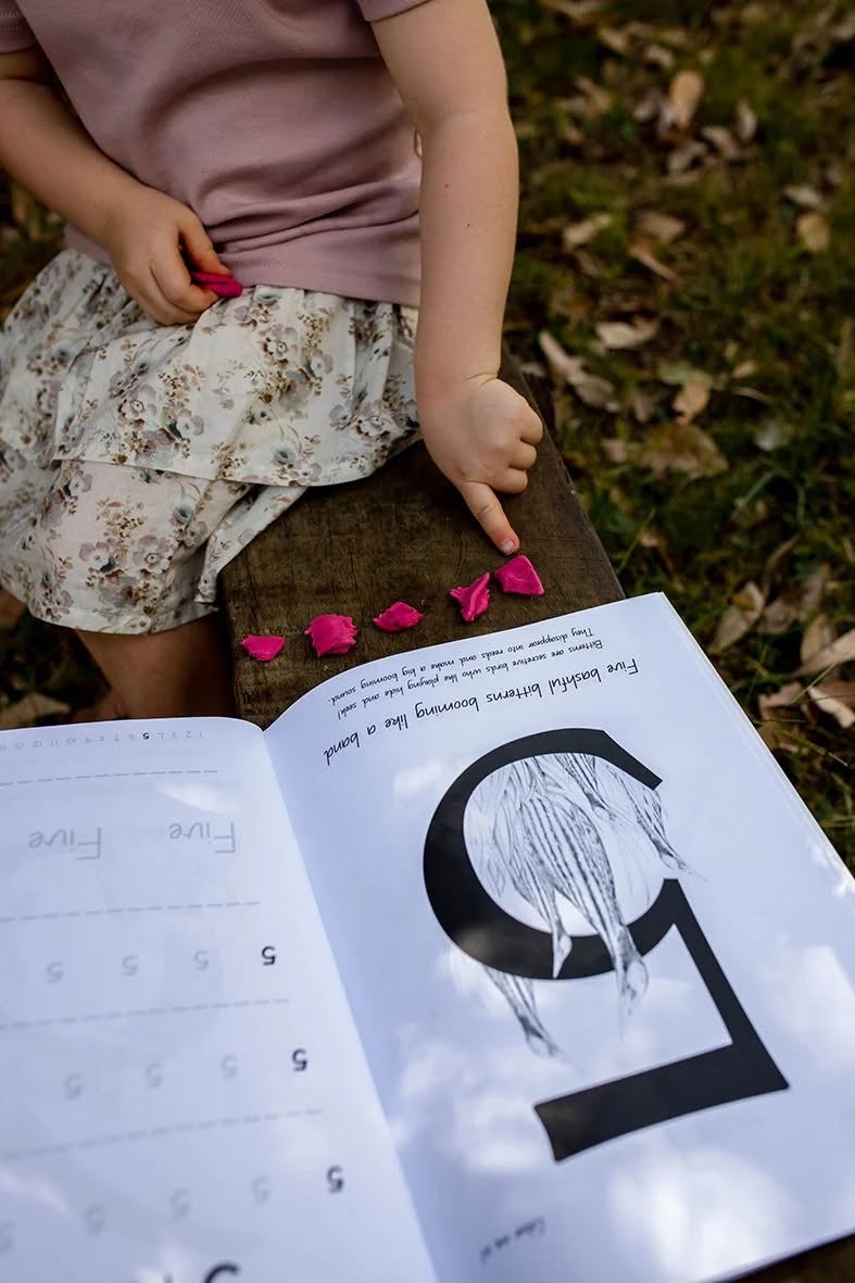 Wonderfully Wild - Australian Animal Numbers Early Learning Workbook
